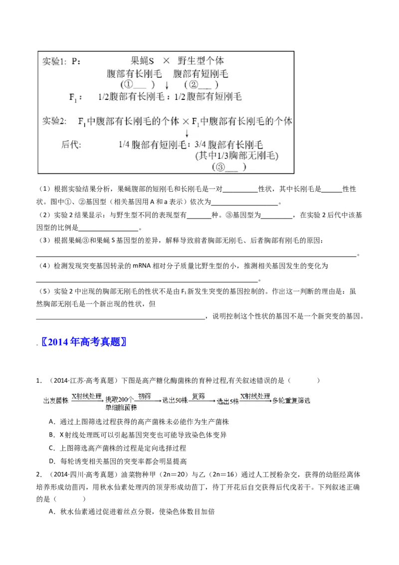 专题14变异、育种与进化（原卷卷）_近10年高考真题汇编（必刷）_十年（2014-2024）高考生物真题分项汇编（全国通用）_十年（2014-2023）高考生物真题分项汇编（全国通用）