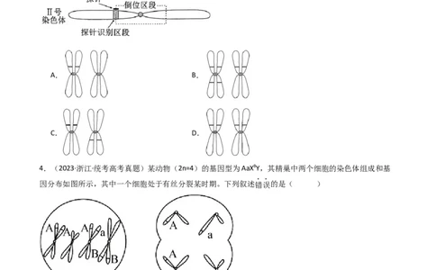 专题14变异、育种与进化（原卷卷）_近10年高考真题汇编（必刷）_十年（2014-2024）高考生物真题分项汇编（全国通用）_十年（2014-2023）高考生物真题分项汇编（全国通用）