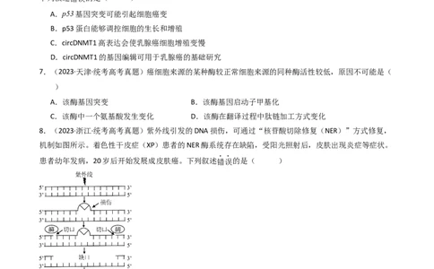 专题14变异、育种与进化（原卷卷）_近10年高考真题汇编（必刷）_十年（2014-2024）高考生物真题分项汇编（全国通用）_十年（2014-2023）高考生物真题分项汇编（全国通用）