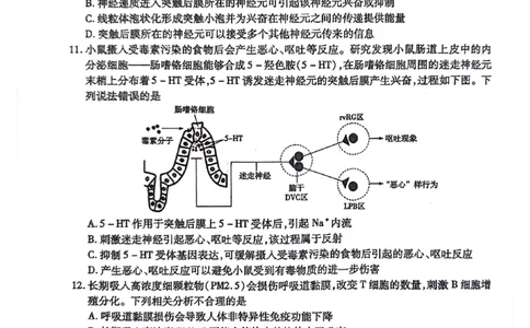 生物试题(1)_2023年10月_0210月合集_2024届陕西省天一大联考高三上学期10月阶段性测试（一）_陕西省天一大联考2024届高三上学期10月阶段性测试（一）生物