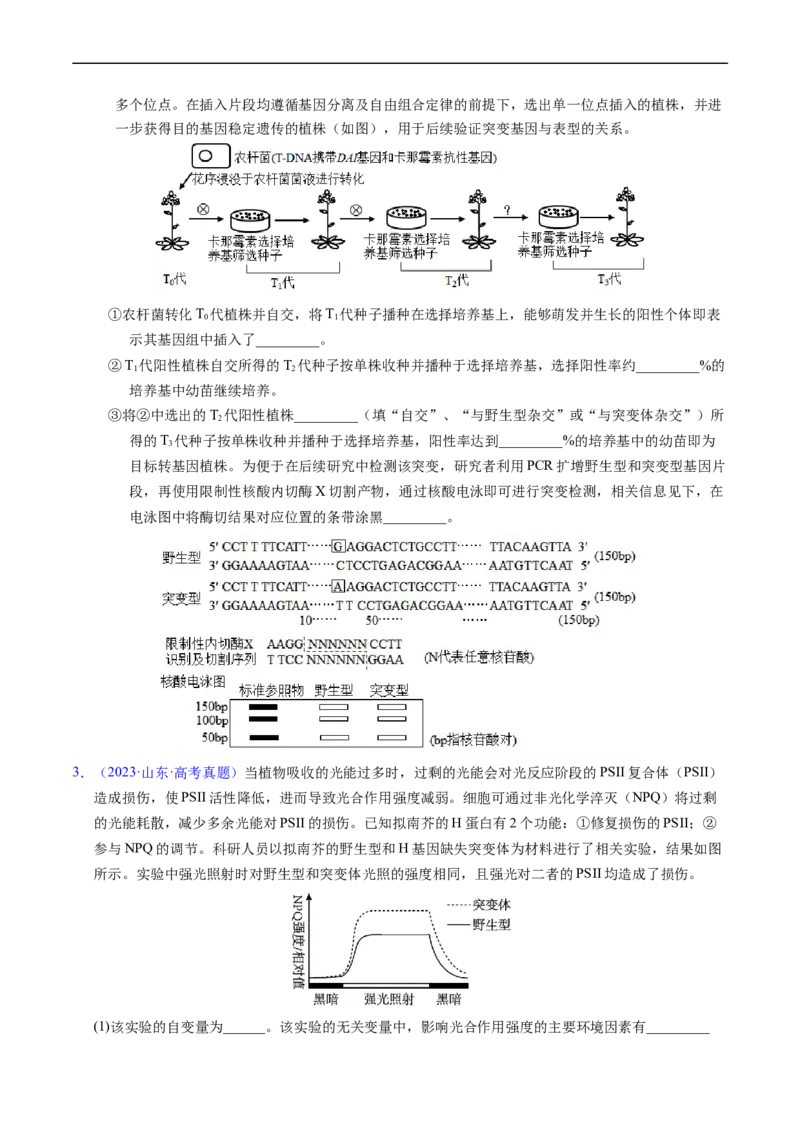 专题12变异、育种与进化-五年（2019-2023）高考生物真题分项汇编（全国通用）（原卷版）_赠送：2008-2024全套高考真题_高考生物真题