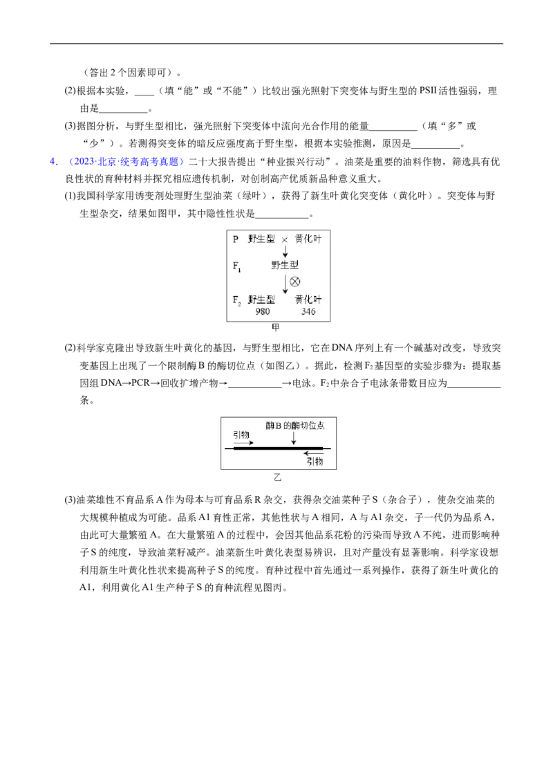 专题12变异、育种与进化-五年（2019-2023）高考生物真题分项汇编（全国通用）（原卷版）_赠送：2008-2024全套高考真题_高考生物真题