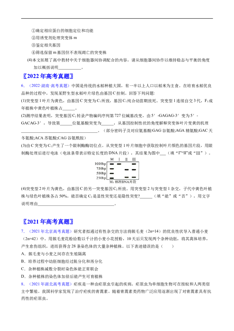 专题12变异、育种与进化-五年（2019-2023）高考生物真题分项汇编（全国通用）（原卷版）_赠送：2008-2024全套高考真题_高考生物真题