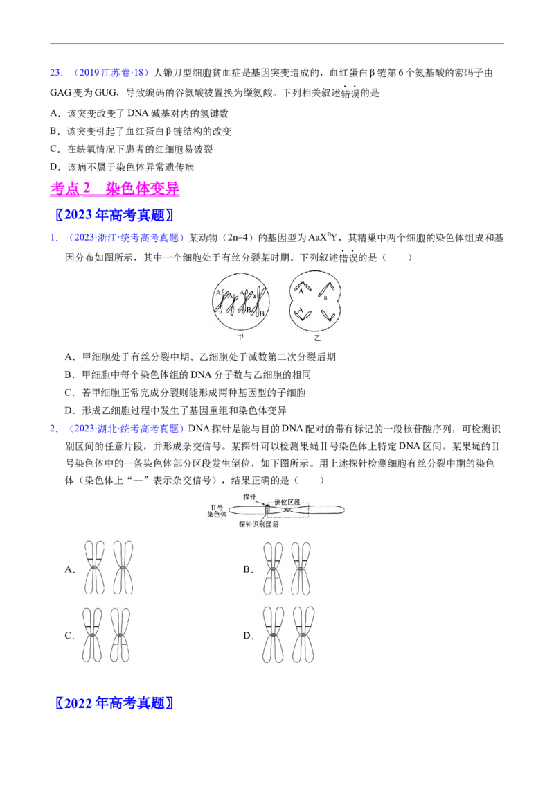 专题12变异、育种与进化-五年（2019-2023）高考生物真题分项汇编（全国通用）（原卷版）_赠送：2008-2024全套高考真题_高考生物真题