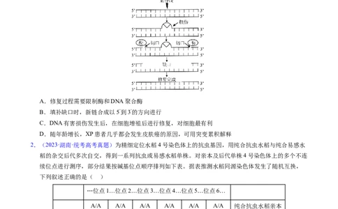 专题12变异、育种与进化-五年（2019-2023）高考生物真题分项汇编（全国通用）（原卷版）_赠送：2008-2024全套高考真题_高考生物真题