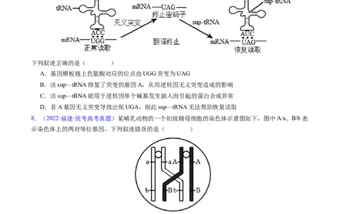 专题12变异、育种与进化-五年（2019-2023）高考生物真题分项汇编（全国通用）（原卷版）_赠送：2008-2024全套高考真题_高考生物真题