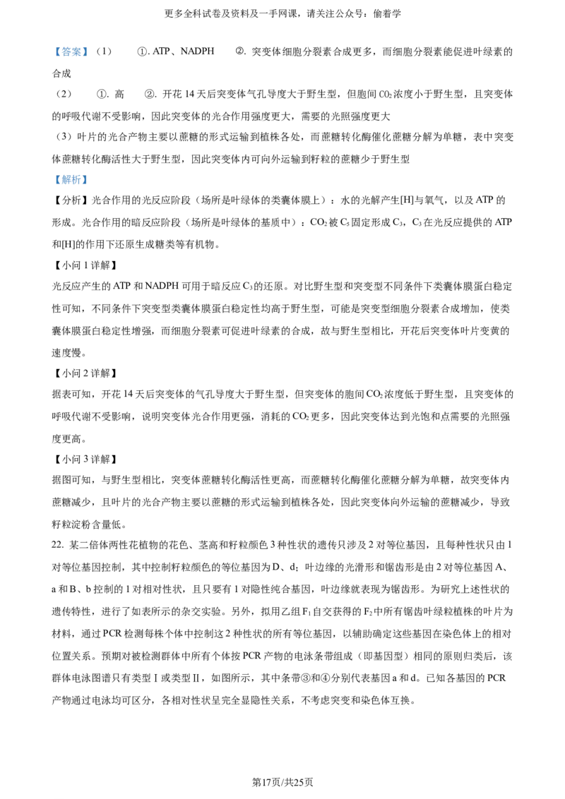 精品解析：2024年新课标高考真题山东卷生物（解析版）_2024年高考真题卷_2024年新高考山东高考真题_2024年新高考山东卷生物高考真题解析（参考版）