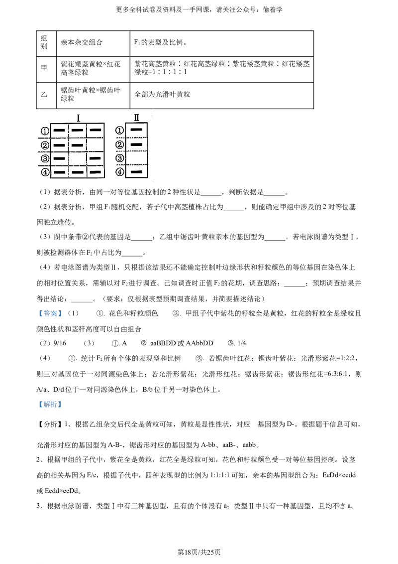 精品解析：2024年新课标高考真题山东卷生物（解析版）_2024年高考真题卷_2024年新高考山东高考真题_2024年新高考山东卷生物高考真题解析（参考版）