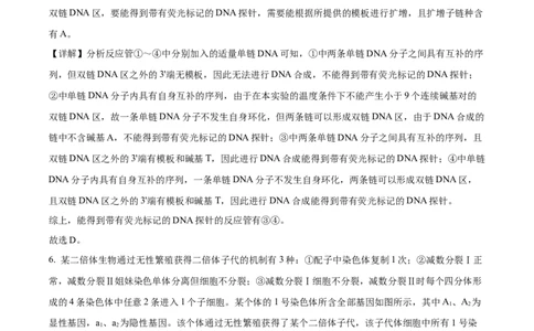 精品解析：2024年新课标高考真题山东卷生物（解析版）_2024年高考真题卷_2024年新高考山东高考真题_2024年新高考山东卷生物高考真题解析（参考版）