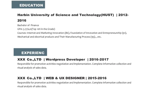 2高端简洁英文CV简历(50)_各类简历_简历模板(1)_英文简历模版86套2025版_