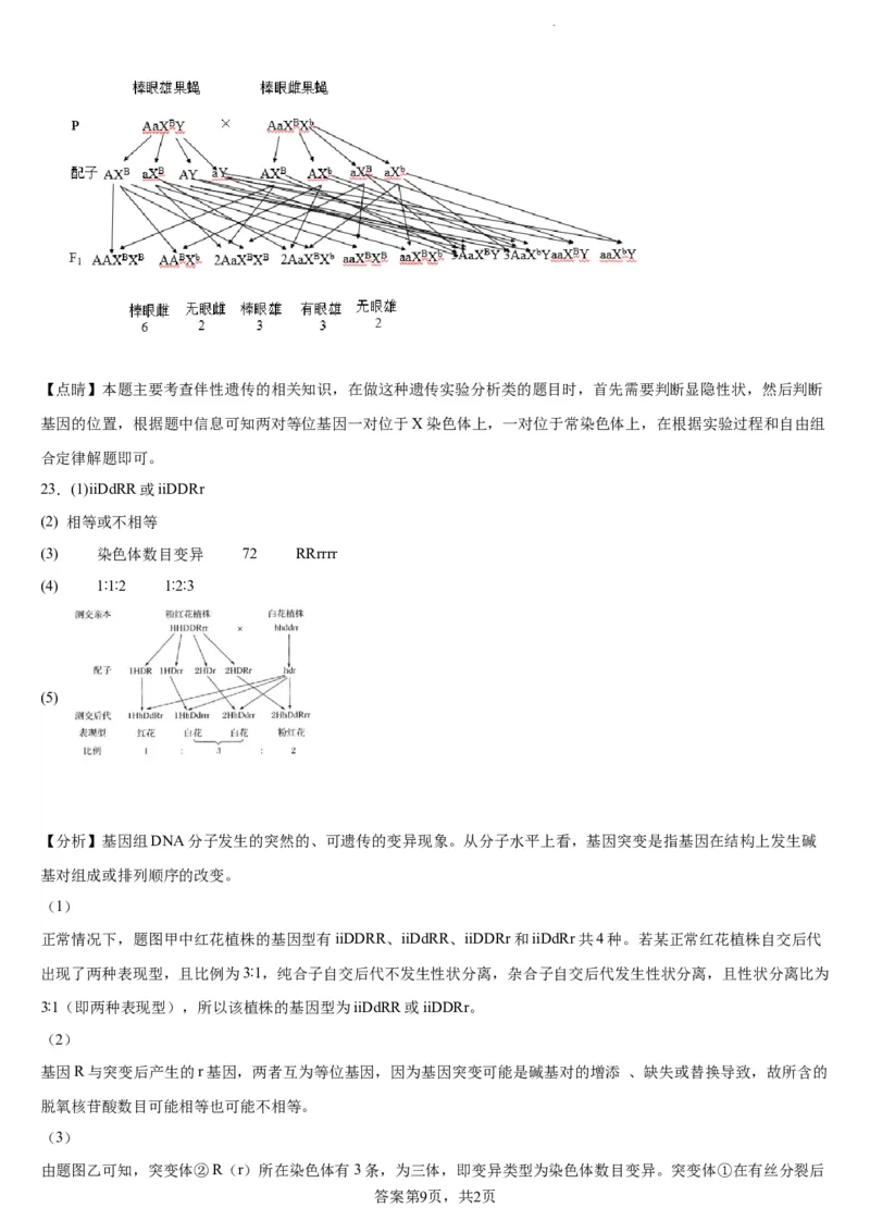 本溪高中2023-2024学年度高考适应性测试（一）生物参考答案(1)_2023年8月_028月合集_2024届辽宁省本溪市高级中学年高三上学期适应性测试（一）
