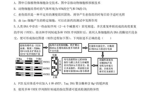 辽宁省六校2023-2024学年高三上学期期初考试生物(1)_2023年8月_028月合集_2024届辽宁省六校高三上学期期初考试