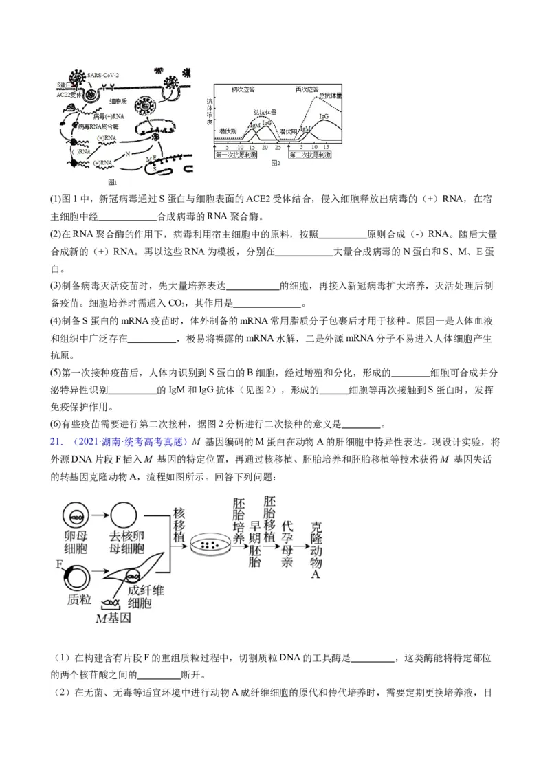 专题20细胞工程与胚胎工程-五年（2019-2023）高考生物真题分项汇编（全国通用）（原卷版）_赠送：2008-2024全套高考真题_高考生物真题
