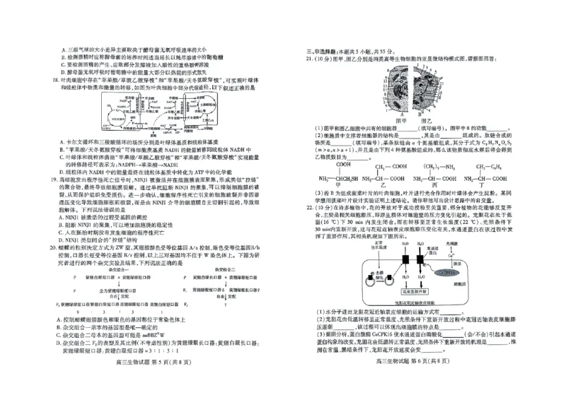 高三生物_2023年9月_01每日更新_6号_2024届山东省新高考联合质量测评高三上学期开学联考_山东省新高考联合质量测评2024届高三上学期开学联考生物