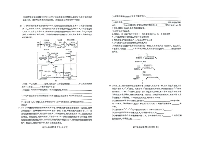 高三生物_2023年9月_01每日更新_6号_2024届山东省新高考联合质量测评高三上学期开学联考_山东省新高考联合质量测评2024届高三上学期开学联考生物