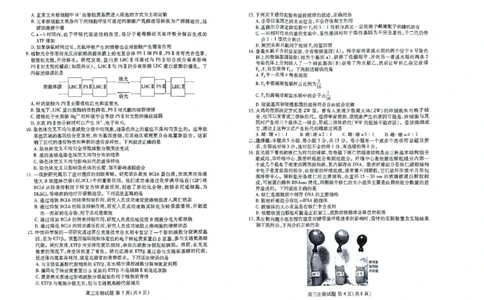 高三生物_2023年9月_01每日更新_6号_2024届山东省新高考联合质量测评高三上学期开学联考_山东省新高考联合质量测评2024届高三上学期开学联考生物