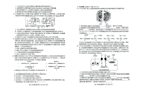 高三生物_2023年9月_01每日更新_6号_2024届山东省新高考联合质量测评高三上学期开学联考_山东省新高考联合质量测评2024届高三上学期开学联考生物