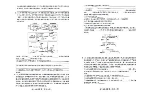 高三生物_2023年9月_01每日更新_6号_2024届山东省新高考联合质量测评高三上学期开学联考_山东省新高考联合质量测评2024届高三上学期开学联考生物