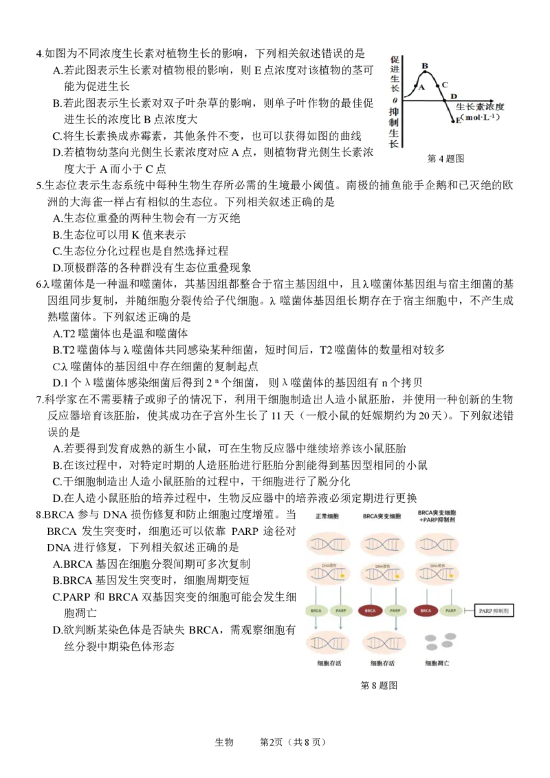 浙江省名校协作体2023-2024学年高三上学期开学适应性考试生物_2023年8月_01每日更新_15号_2024届浙江省名校协作体高三上学期开学适应性考试