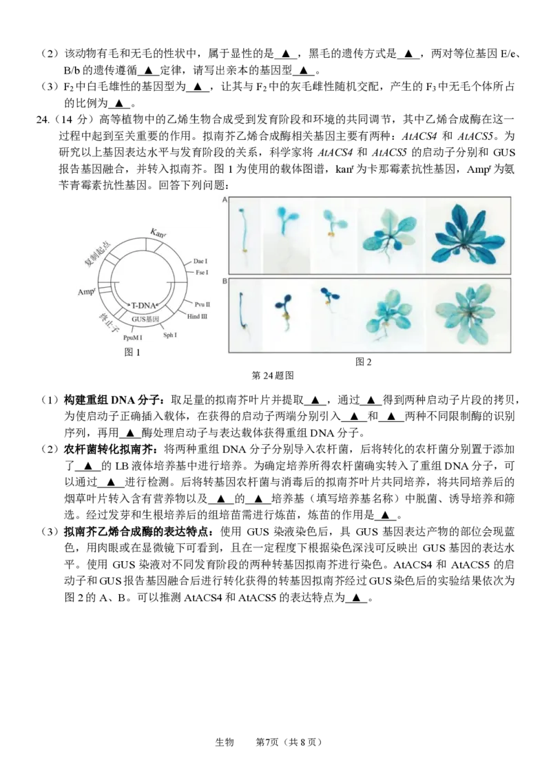 浙江省名校协作体2023-2024学年高三上学期开学适应性考试生物_2023年8月_01每日更新_15号_2024届浙江省名校协作体高三上学期开学适应性考试