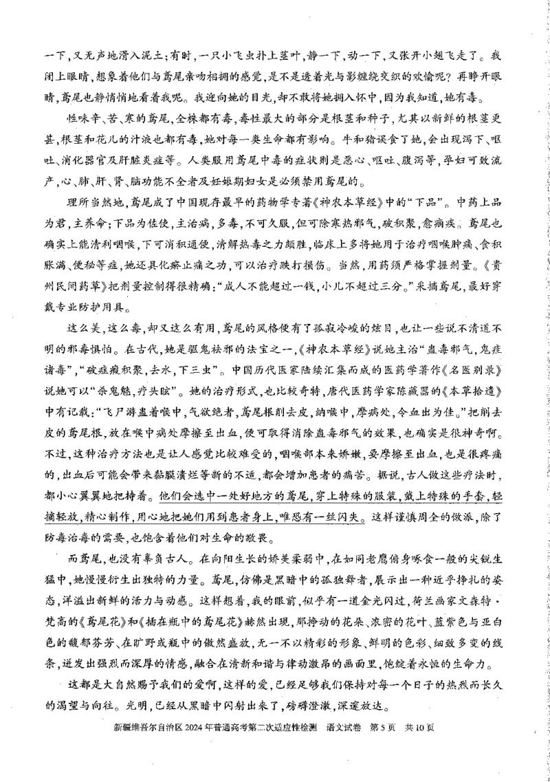 2024届新疆维吾尔自治区高三二模语文试题_2024年4月_01按日期_14号_2024届新疆维吾尔自治区高三第二次适应性检测_新疆维吾尔自治区2024届高三第二次适应性检测语文试题