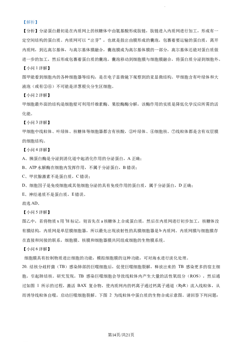 精品解析：江苏省盐城市建湖二中、盐城大冈中学2023-2024学年高三10月月考生物试题（解析版）(1)_2023年10月_0210月合集_2024届江苏省盐城市联盟校高三上学期10月第一次学情调研检测