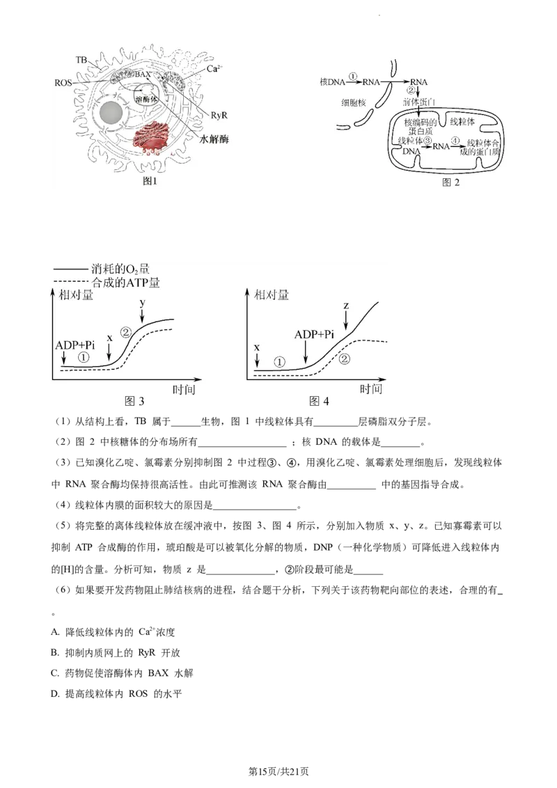 精品解析：江苏省盐城市建湖二中、盐城大冈中学2023-2024学年高三10月月考生物试题（解析版）(1)_2023年10月_0210月合集_2024届江苏省盐城市联盟校高三上学期10月第一次学情调研检测