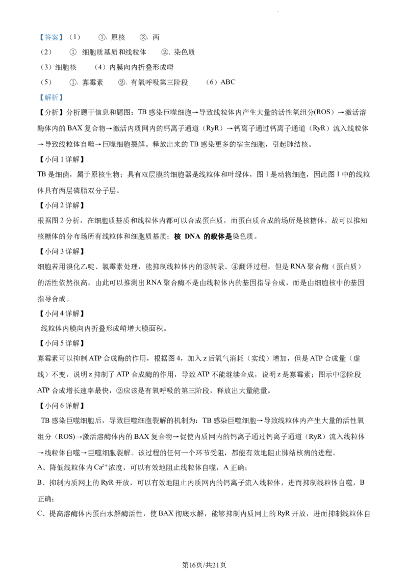精品解析：江苏省盐城市建湖二中、盐城大冈中学2023-2024学年高三10月月考生物试题（解析版）(1)_2023年10月_0210月合集_2024届江苏省盐城市联盟校高三上学期10月第一次学情调研检测
