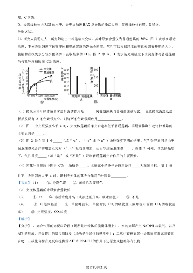 精品解析：江苏省盐城市建湖二中、盐城大冈中学2023-2024学年高三10月月考生物试题（解析版）(1)_2023年10月_0210月合集_2024届江苏省盐城市联盟校高三上学期10月第一次学情调研检测