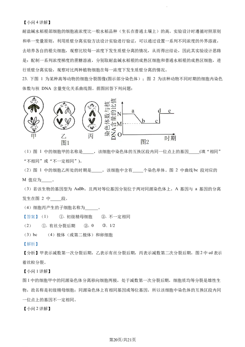 精品解析：江苏省盐城市建湖二中、盐城大冈中学2023-2024学年高三10月月考生物试题（解析版）(1)_2023年10月_0210月合集_2024届江苏省盐城市联盟校高三上学期10月第一次学情调研检测