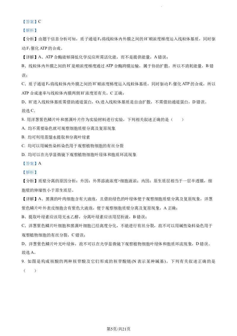 精品解析：江苏省盐城市建湖二中、盐城大冈中学2023-2024学年高三10月月考生物试题（解析版）(1)_2023年10月_0210月合集_2024届江苏省盐城市联盟校高三上学期10月第一次学情调研检测