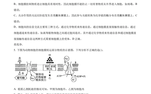 精品解析：江苏省盐城市建湖二中、盐城大冈中学2023-2024学年高三10月月考生物试题（解析版）(1)_2023年10月_0210月合集_2024届江苏省盐城市联盟校高三上学期10月第一次学情调研检测