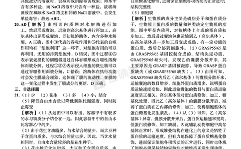 新高考《正确小卷》2024总复习生物质检卷--答案_2024高考押题卷_72024正确教育全系列_2024年正确小卷全系列_（新高考）2024《正确小卷&middot;复习质检卷》（九科全）各两套