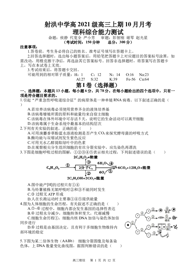 理综试题(1)_2023年10月_0210月合集_2024届四川省射洪中学高三上学期10月月考试题_四川省射洪中学2024届高三上学期10月月考试题理综