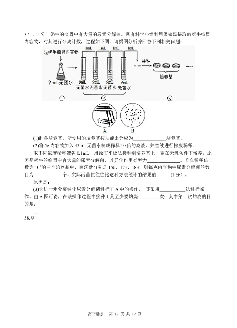 理综试题(1)_2023年10月_0210月合集_2024届四川省射洪中学高三上学期10月月考试题_四川省射洪中学2024届高三上学期10月月考试题理综