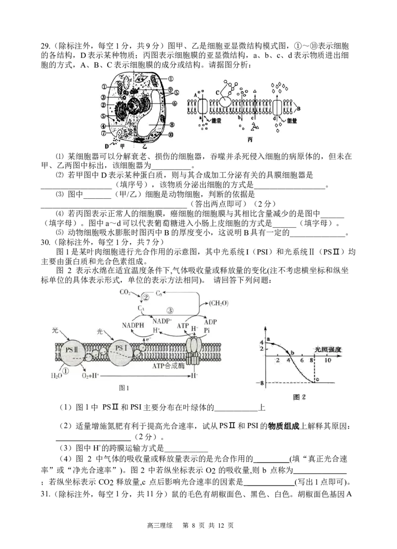 理综试题(1)_2023年10月_0210月合集_2024届四川省射洪中学高三上学期10月月考试题_四川省射洪中学2024届高三上学期10月月考试题理综