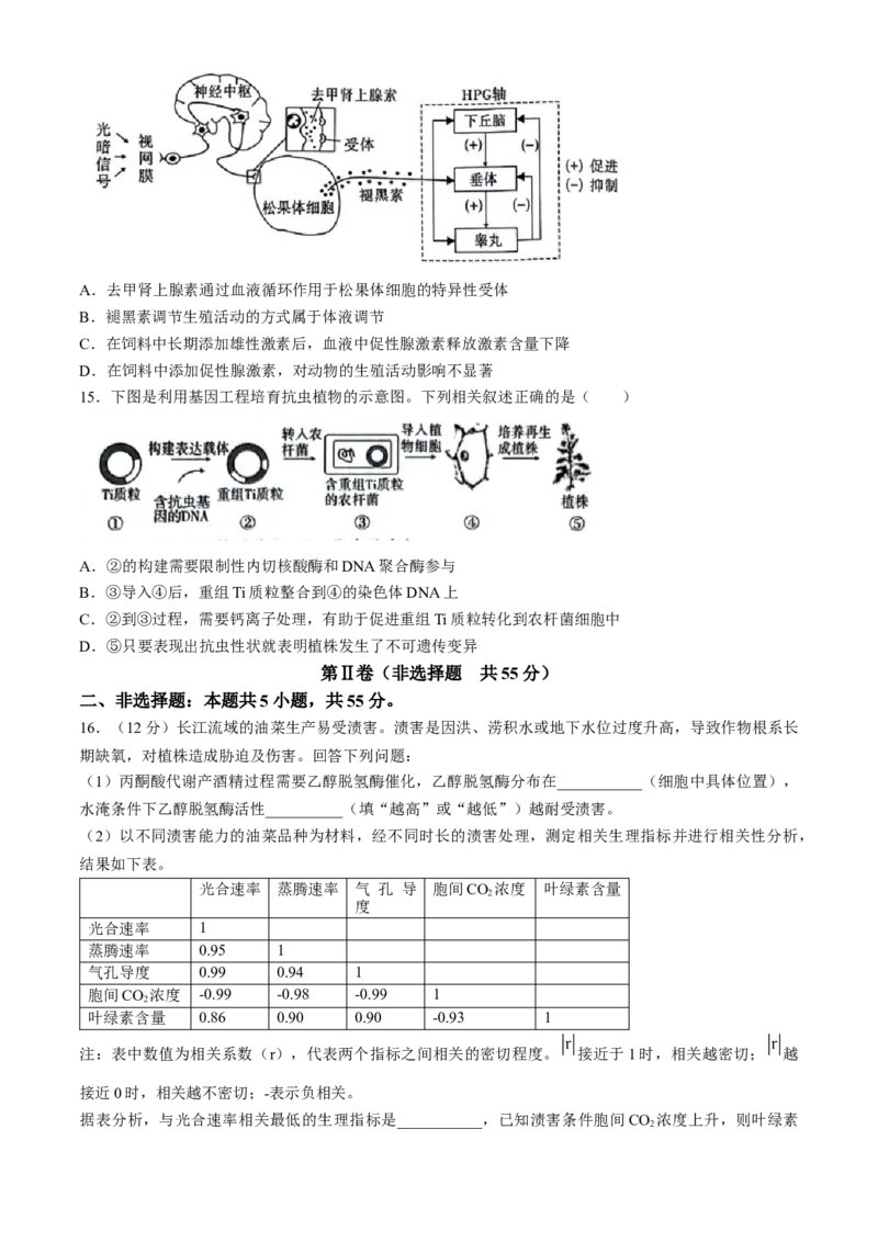 2024届安徽省安庆示范高中高三下学期4月联考（三模）生物试题+答案(1)_2024年4月_024月合集_2024届安徽省安庆高三下学期4月联考（三模）