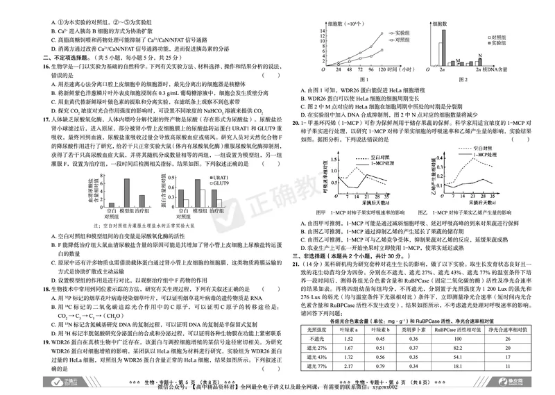 新高考《正确小卷》2024总复习生物质检卷2_2024高考押题卷_72024正确教育全系列_2024年正确小卷全系列_（新高考）2024《正确小卷&middot;复习质检卷》（九科全）各两套