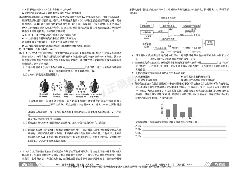 新高考《正确小卷》2024总复习生物质检卷2_2024高考押题卷_72024正确教育全系列_2024年正确小卷全系列_（新高考）2024《正确小卷&middot;复习质检卷》（九科全）各两套