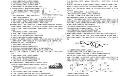 新高考《正确小卷》2024总复习生物质检卷2_2024高考押题卷_72024正确教育全系列_2024年正确小卷全系列_（新高考）2024《正确小卷&middot;复习质检卷》（九科全）各两套