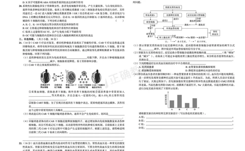 新高考《正确小卷》2024总复习生物质检卷2_2024高考押题卷_72024正确教育全系列_2024年正确小卷全系列_（新高考）2024《正确小卷&middot;复习质检卷》（九科全）各两套