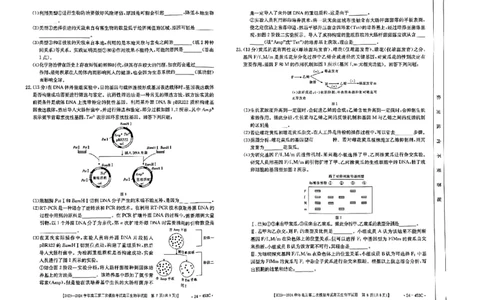 2024届河北省保定市高三下学期第二次模拟考试生物试题_2024年5月_01按日期_14号_2024届河北金太阳24-253C保定市高三二模试题_2024届河北省保定市高三下学期二模生物试题