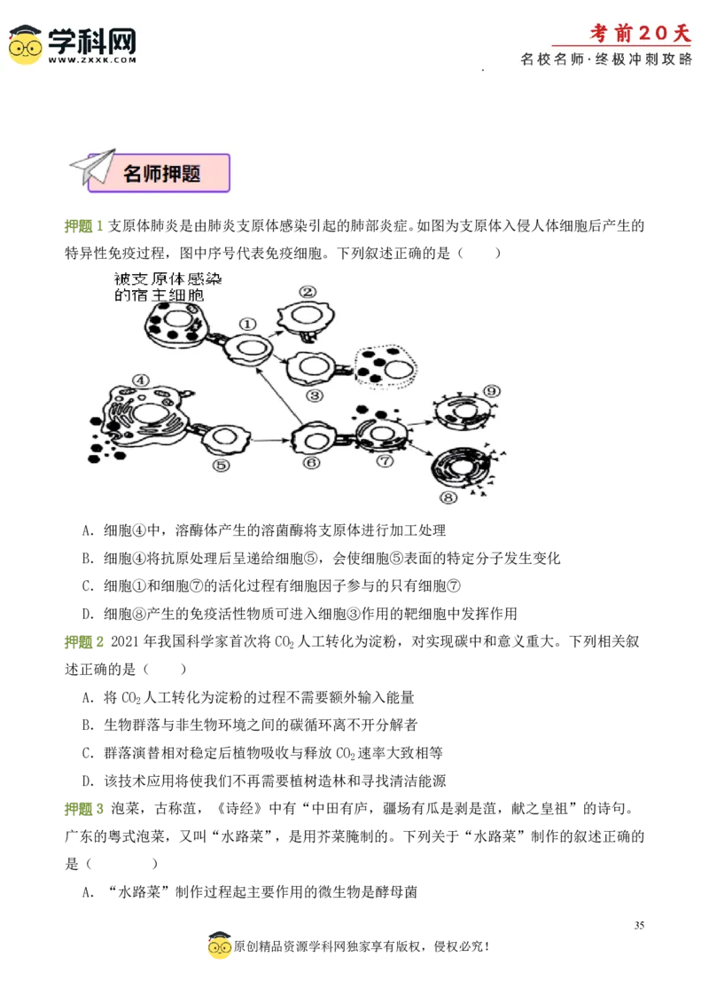 生物（四）-2024年高考考前20天终极冲刺攻略_2024高考押题卷_62024学科网全系列_20学科网高考考前终极攻略_生物-2024年高考考前20天终极冲刺攻略