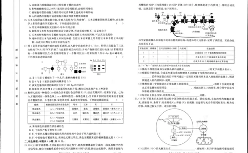 湖北省部分学校2023-2024学年高三上学期10月月考生物(1)_2023年10月_01每日更新_13号_2024届湖北省部分学校高三上学期10月月考