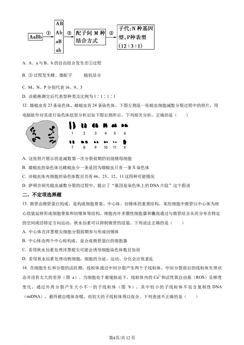 湖南省衡阳市第八中学2023-2024学年高三上学期第二次月考生物(1)_2023年10月_01每日更新_26号_2024届湖南省衡阳市第八中学高三上学期第二次月考