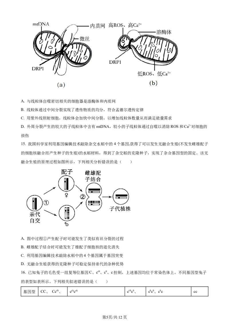 湖南省衡阳市第八中学2023-2024学年高三上学期第二次月考生物(1)_2023年10月_01每日更新_26号_2024届湖南省衡阳市第八中学高三上学期第二次月考