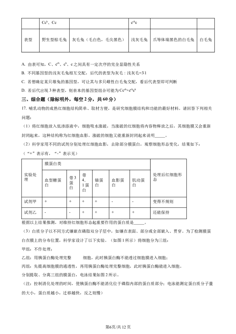 湖南省衡阳市第八中学2023-2024学年高三上学期第二次月考生物(1)_2023年10月_01每日更新_26号_2024届湖南省衡阳市第八中学高三上学期第二次月考