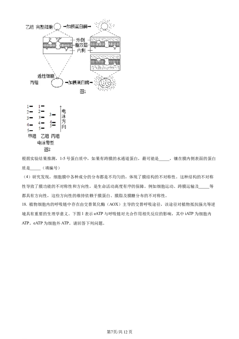湖南省衡阳市第八中学2023-2024学年高三上学期第二次月考生物(1)_2023年10月_01每日更新_26号_2024届湖南省衡阳市第八中学高三上学期第二次月考