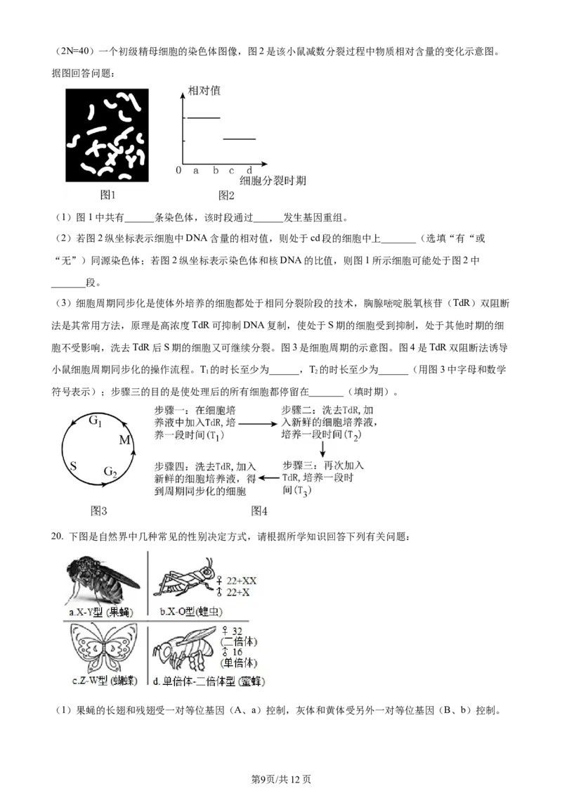 湖南省衡阳市第八中学2023-2024学年高三上学期第二次月考生物(1)_2023年10月_01每日更新_26号_2024届湖南省衡阳市第八中学高三上学期第二次月考