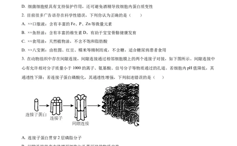 湖南省衡阳市第八中学2023-2024学年高三上学期第二次月考生物(1)_2023年10月_01每日更新_26号_2024届湖南省衡阳市第八中学高三上学期第二次月考